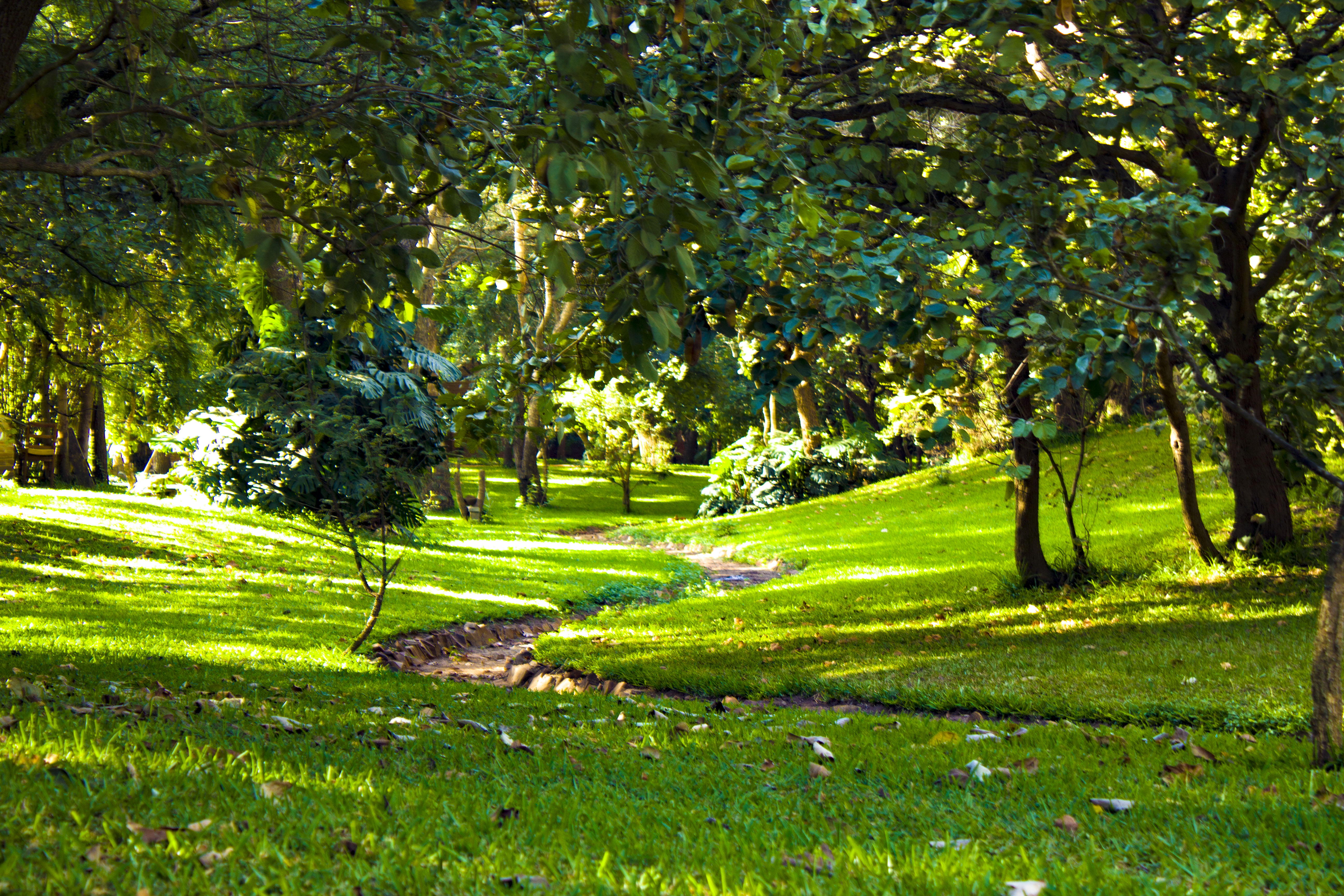 Nature